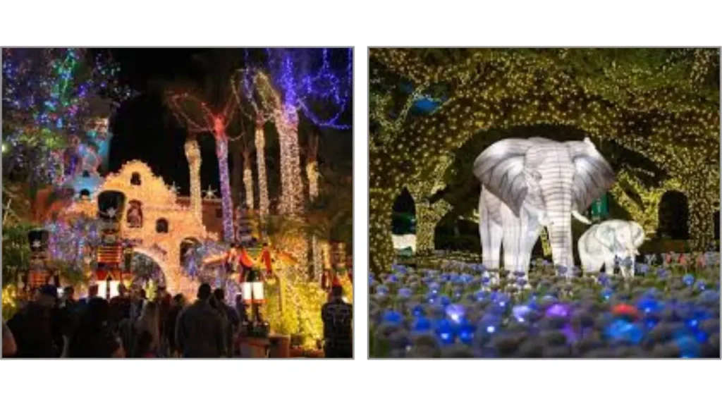 Motive Behind the Festival of Lights Delights