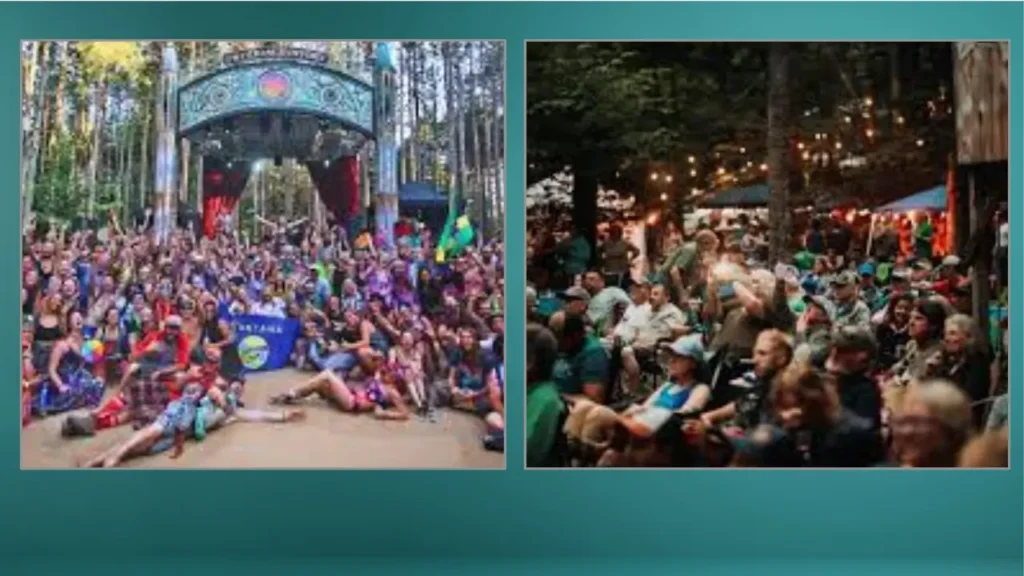 Beaver Island Music Festival Attendance