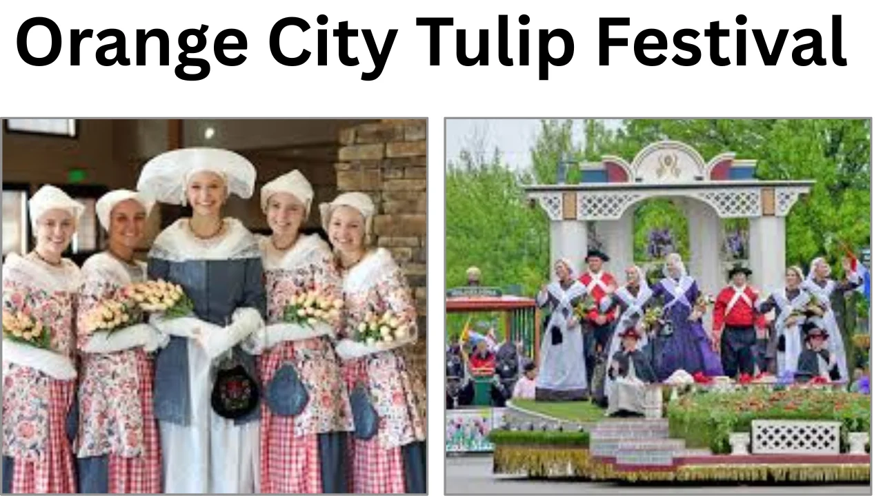 Orange City Tulip Festival