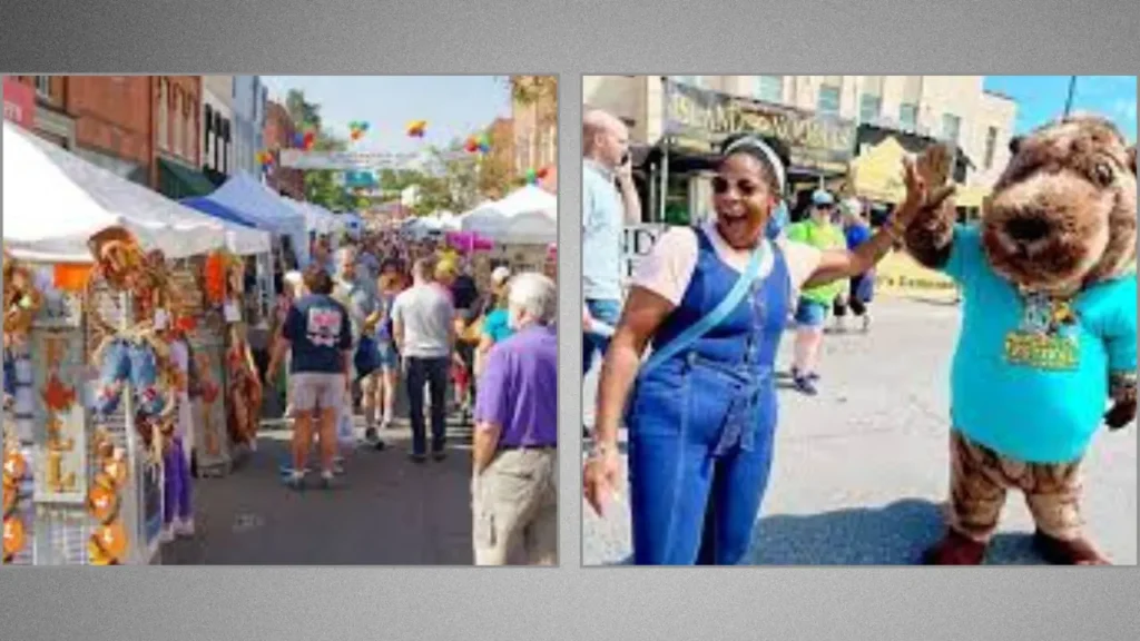 What Type of Morganton Festival Is It