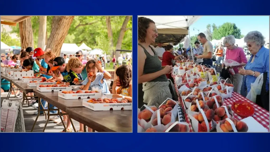 What Type of Palisades Colorado Peach Festival Is It
