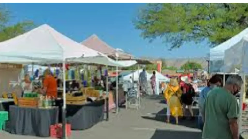 What You’ll Experience at the Fountain Hills Art Festival?
