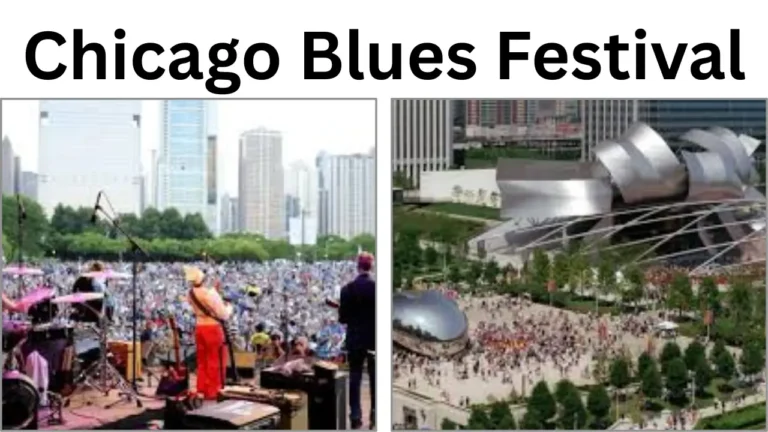 Chicago Blues Festival