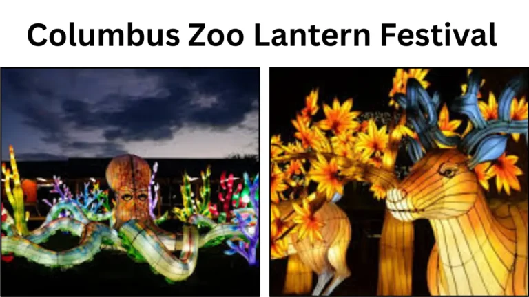 Columbus Zoo Lantern Festival