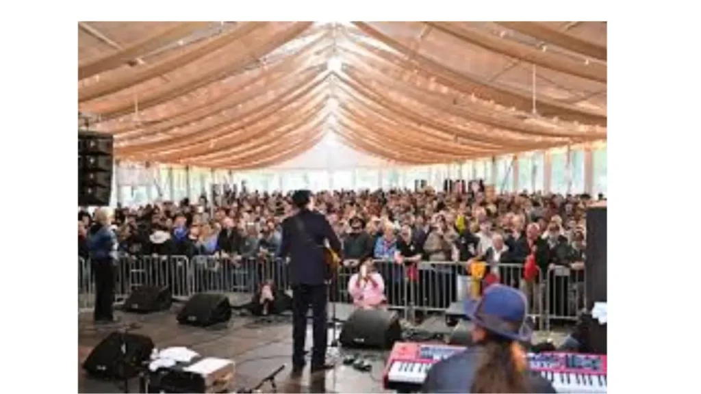 Motive Behind the Chicago Blues Festival
