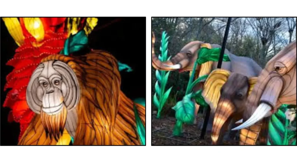 Motive Behind the Columbus Zoo Lantern Festival