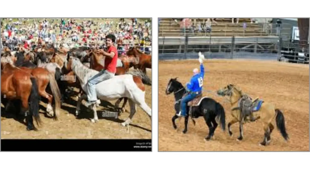 Motive behind the Wild Horse Festival