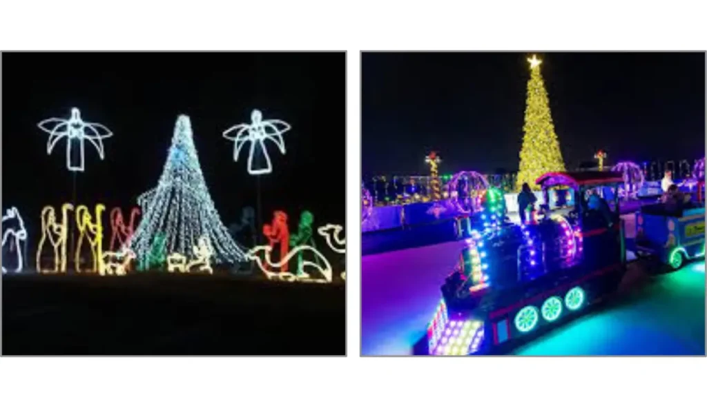 Motive Behind the Bull Run Festival of Lights