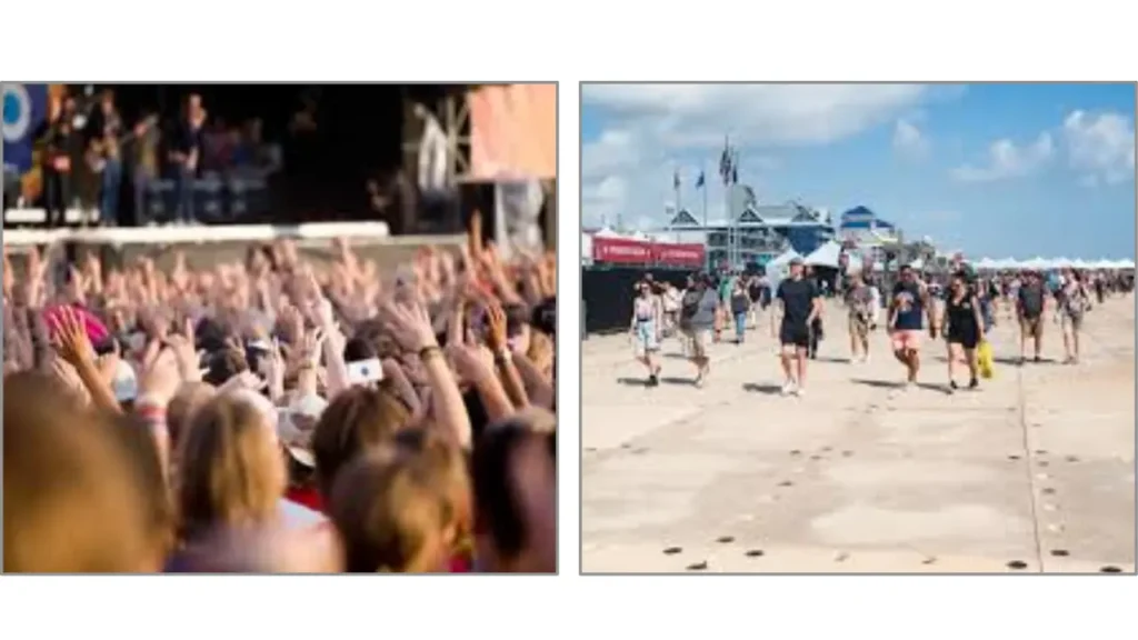 What Is the Oceans Calling Festival?