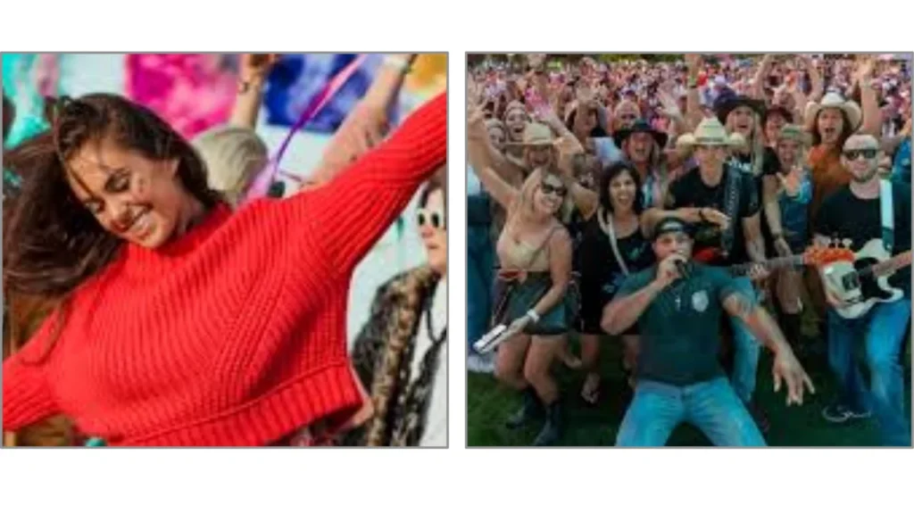 Who is organize  this  McHenry Music Festival