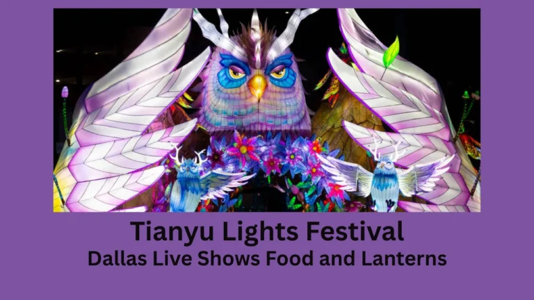 tianyu lights festival dallas