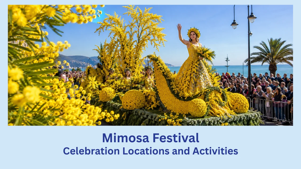 mimosa festival